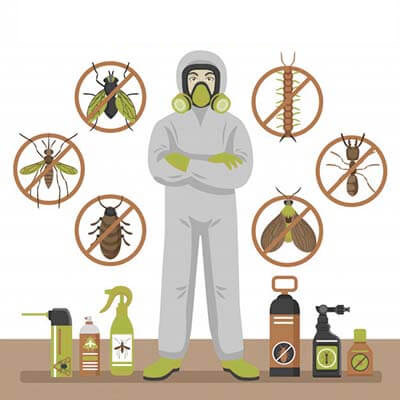 termite-control-service-1664346209-6560993