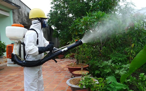 Dịch vụ phun thuốc diệt muỗi tại huyện Đan Phượng