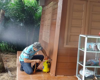 Dịch vụ diệt mối tại huyện Mê Linh - Diệt côn trùng tại nhà