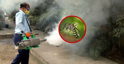 Dịch vụ phun muỗi tại Hà Nội